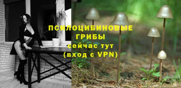 дурь Козловка