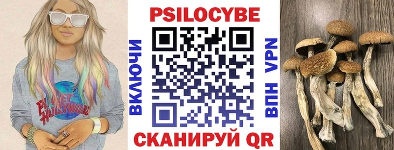 Псилоцибиновые грибы GOLDEN TEACHER Петухово