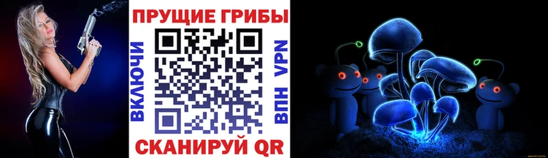 Псилоцибиновые грибы Psilocybine cubensis  Купить закладки  Петухово 